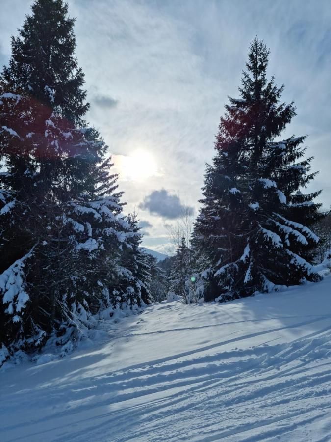 Вілла Les Randogodilleurs Avec Jacuzzi A 2Kms Des Pistes Et 350M Du Theatre Du Peuple ! Бюссан Екстер'єр фото